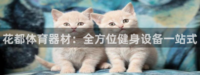 富联官方网站下载安装：花都体育器材：全方位健身设备一