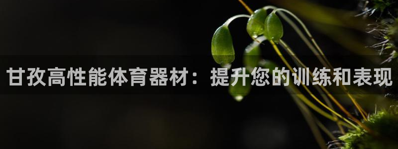富联娱乐平台开户条件要求：甘孜高性能体育器材：提升您