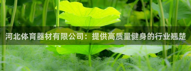 富联平台安装流程：河北体育器材有限公司：提供高质量健