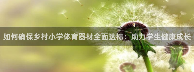 富联股份股票：如何确保乡村小学体育器材全面达标：助力
