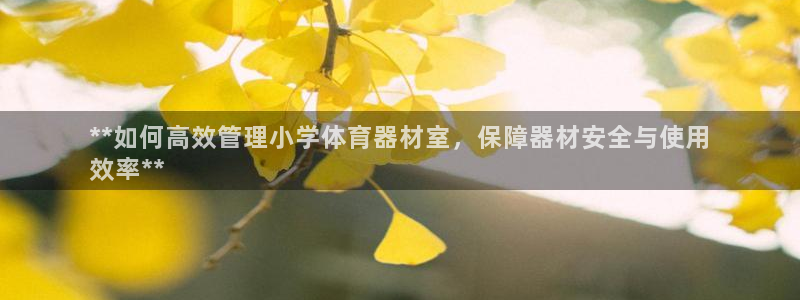 富联娱乐平台开户条件要求：**如何高效管理小学体育器