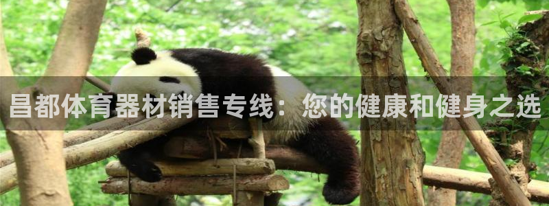 富联平台马 411O31 富联：昌都体育器材销售专线
