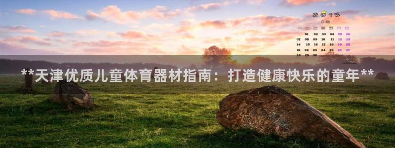 富联娱乐登录注册：**天津优质儿童体育器材指南：打造