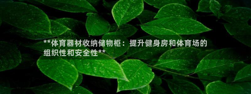 富联娱乐测速地址：**体育器材收纳储物柜：提升健身房