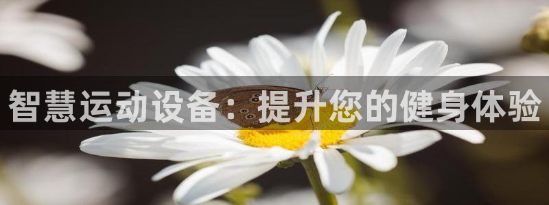 富联官方网站下载：智慧运动设备：提升您的健身体验