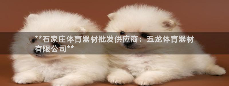 富联娱乐平台开户条件有哪些：**石家庄体育器材批发供