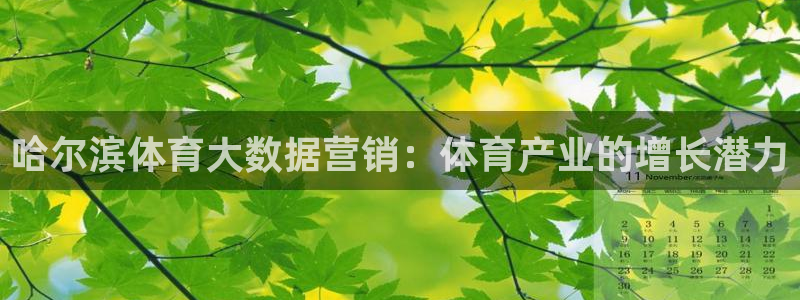 富联娱乐是什么时候开的股票：哈尔滨体育大数据营销：体