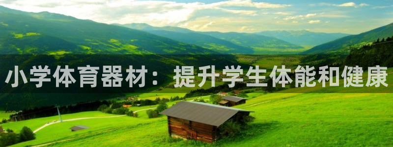 富联官网乙6.7.5.1.3.8：小学体育器材：提升