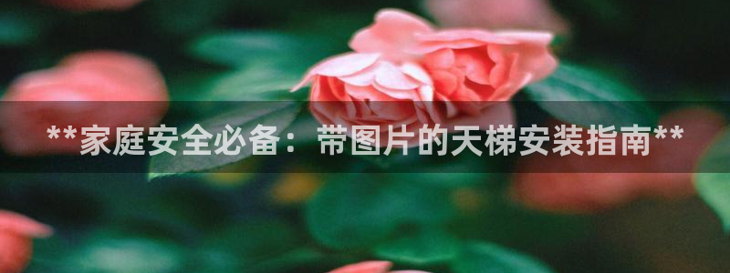 富联机器人产业研发基地：**家庭安全必备：带图片的天