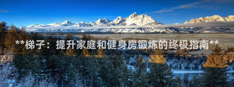 富联官网注册流程图：**梯子：提升家庭和健身房锻炼的