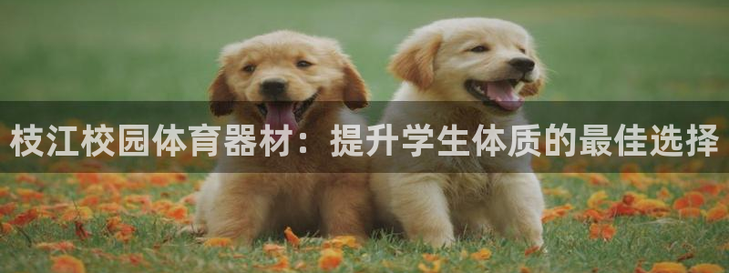 富联娱乐测速登录不了：枝江校园体育器材：提升学生体质