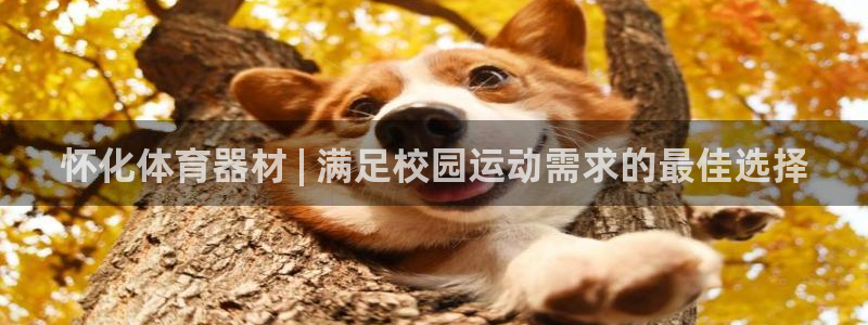 富联平台总代：怀化体育器材 | 满足校园运动需求的最