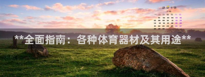 富联股份：**全面指南：各种体育器材及其用途**