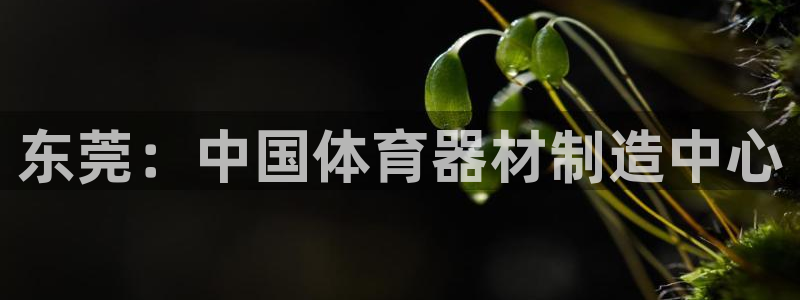 富联申购是什么股票：东莞：中国体育器材制造中心
