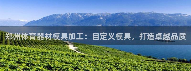 富联平台总代：郑州体育器材模具加工：自定义模具，打造