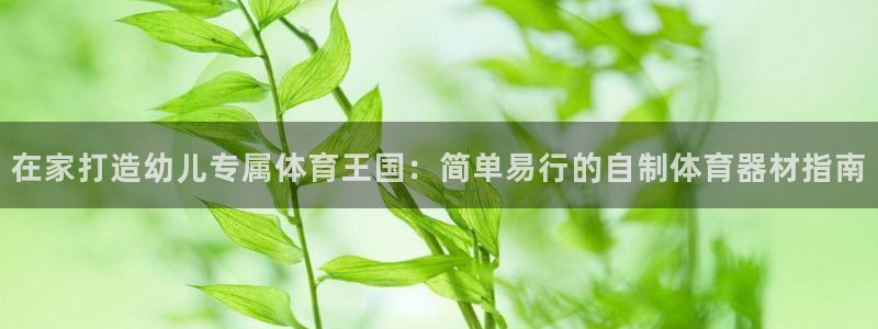 富联娱乐注册7o777皓：在家打造幼儿专属体育王国：