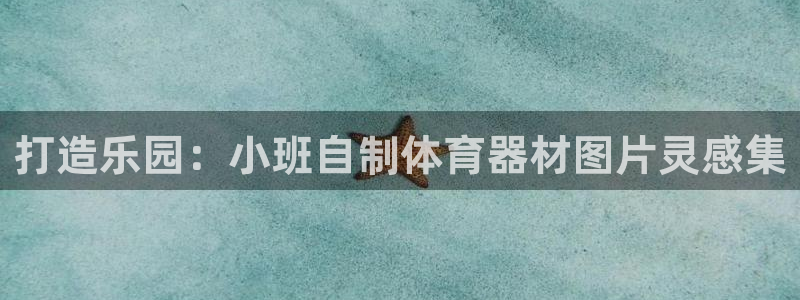富联平台某7O777：打造乐园：小班自制体育器材图片