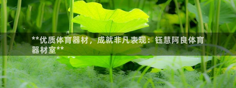 富联什么意思：**优质体育器材，成就非凡表现：钰慧阿