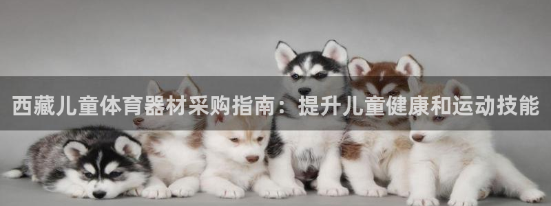 富联平台推 5O6917 富联：西藏儿童体育器材采购