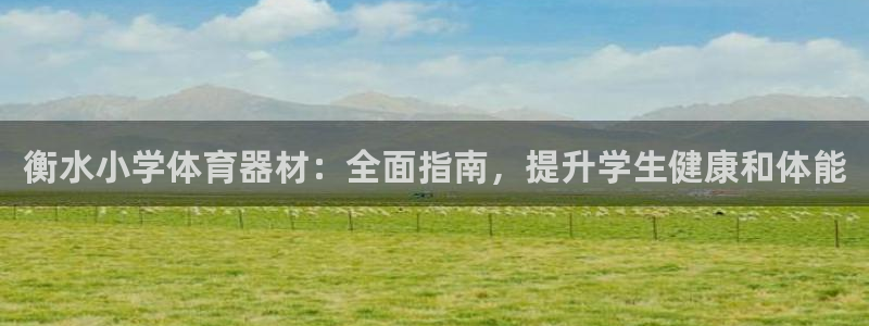 富联官网丁6.7.5.1.3.8：衡水小学体育器材：