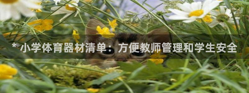 富联地产怎么样知乎：* 小学体育器材清单：方便教师管