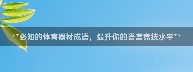 富联超市：**必知的体育器材成语，提升你的语言竞技水