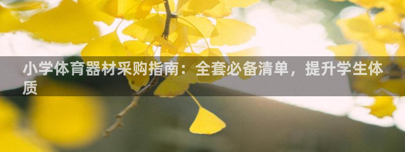 富联申购是什么股票板块：小学体育器材采购指南：全套必