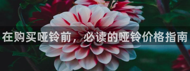 富联官网授权店铺查询：在购买哑铃前，必读的哑铃价格指