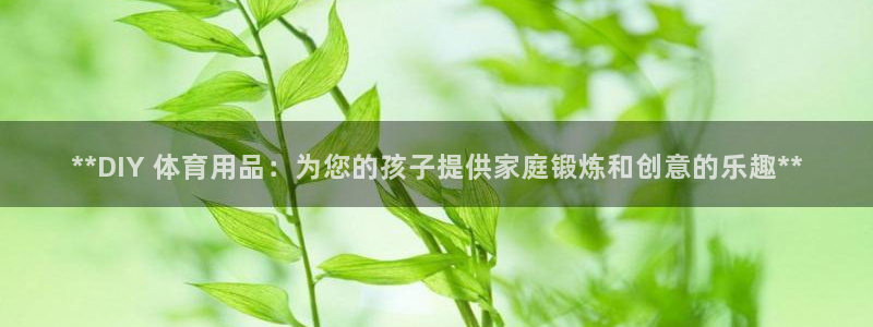 富联官方网站入口查询：**DIY 体育用品：为您的孩