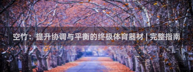 富联官方网站首页入口：空竹：提升协调与平衡的终极体育