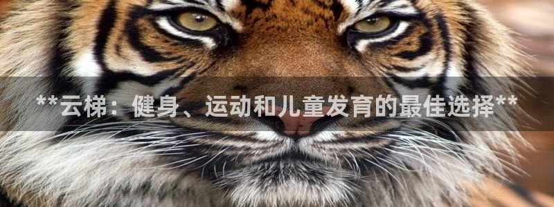 富联展示中心：**云梯：健身、运动和儿童发育的最佳选