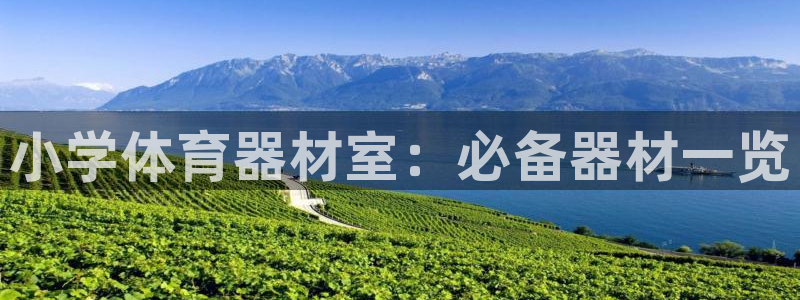 富联平台官网登录：小学体育器材室：必备器材一览