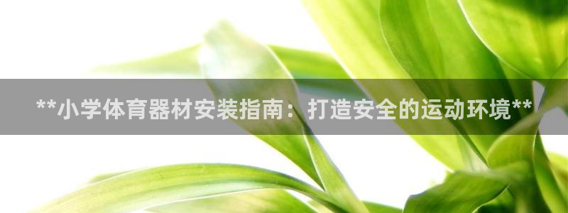 富联平台飞 411o31 富联：**小学体育器材安装