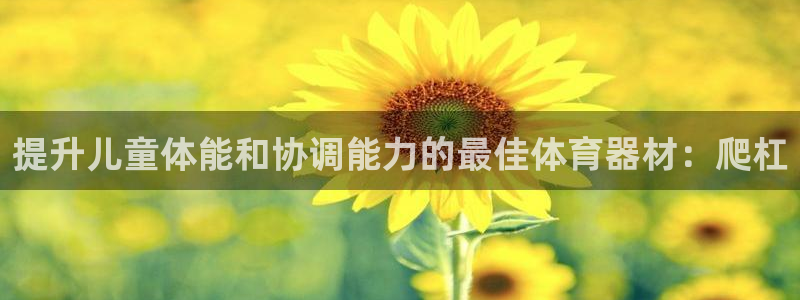 富联官方网站入口下载安卓：提升儿童体能和协调能力的最