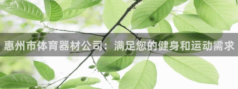 富联平台登录：惠州市体育器材公司：满足您的健身和运动