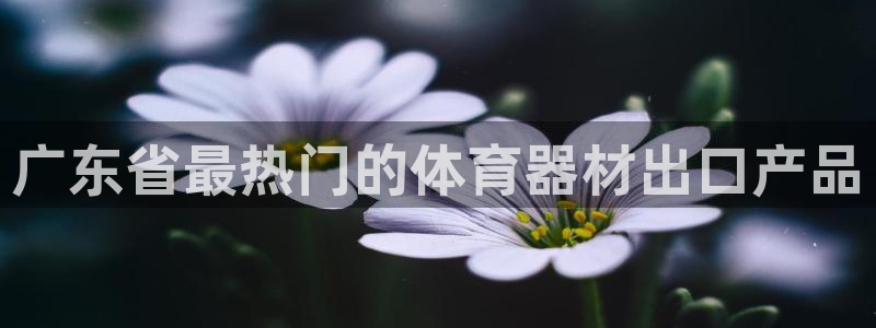 富联娱乐测速登录：广东省最热门的体育器材出口产品
