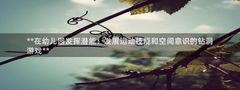 富联娱乐真的吗：**在幼儿园发挥潜能：发展运动技能和
