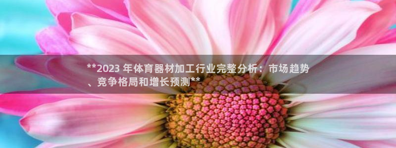 富联劳务：**2023 年体育器材加工行业完整分析：