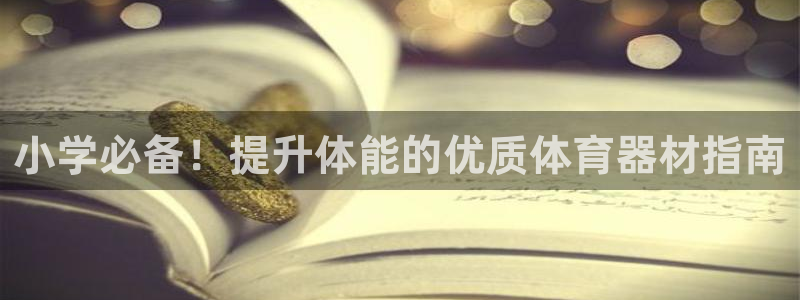 富联集团董事长：小学必备！提升体能的优质体育器材指南