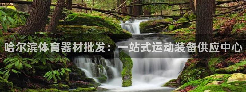 富联平台界7O777：哈尔滨体育器材批发：一站式运动