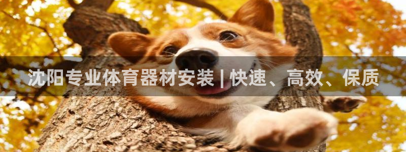 富联娱乐叩 411O31 富联：沈阳专业体育器材安装