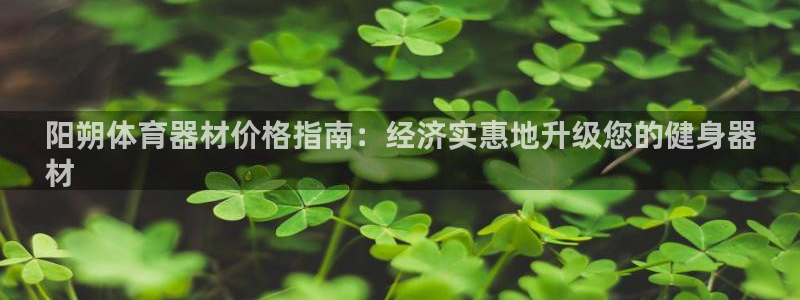 富联科技上市了吗知乎：阳朔体育器材价格指南：经济实惠