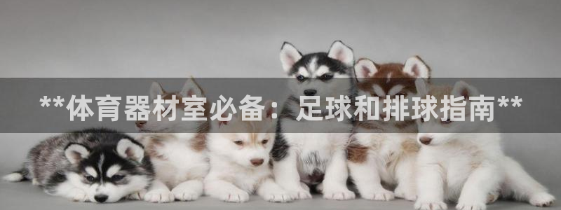 富联娱乐平台怎么样啊：**体育器材室必备：足球和排球