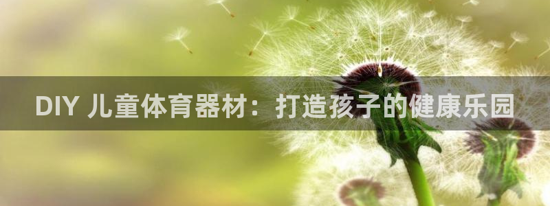 富联平台线路检测中心怎么样：DIY 儿童体育器材：打