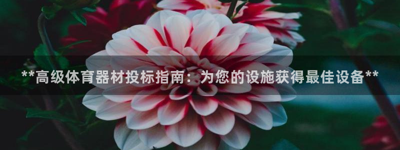 富联集团做什么的：**高级体育器材投标指南：为您的设