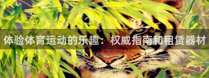 富联娱乐官方网站下载：体验体育运动的乐趣：权威指南和