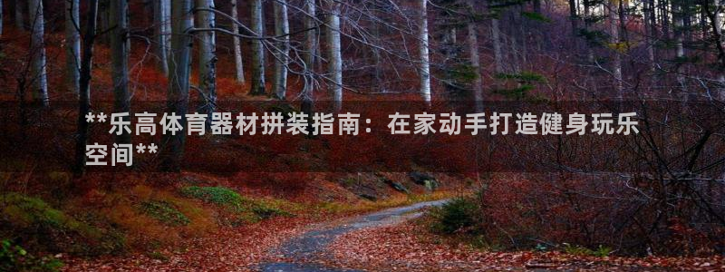 富联娱乐测速app：**乐高体育器材拼装指南：在家动