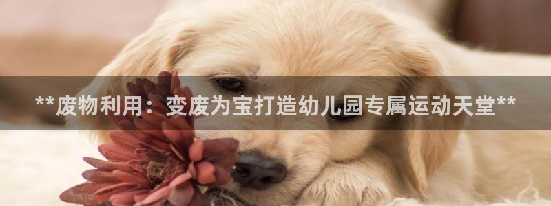 富联平台赢钱不给退怎么办呀：**废物利用：变废为宝打