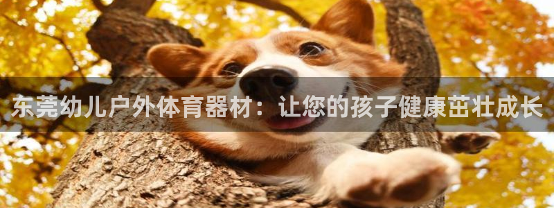 富联娱乐测速登录不上：东莞幼儿户外体育器材：让您的孩