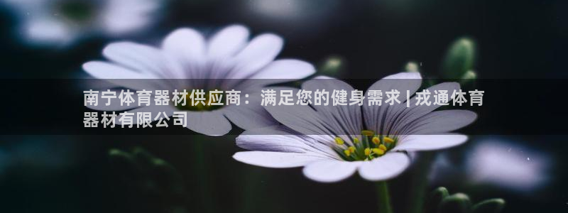 富联平台线路检测中心：南宁体育器材供应商：满足您的健